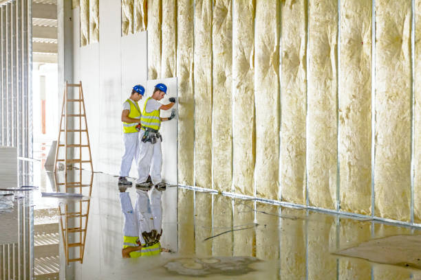 Best DIY Insulation Kits and Guidance in Pine Bluff, AR